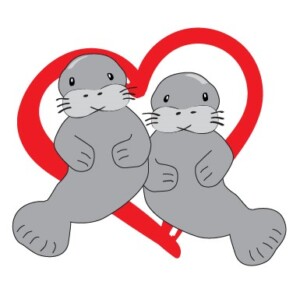 Manatees Love